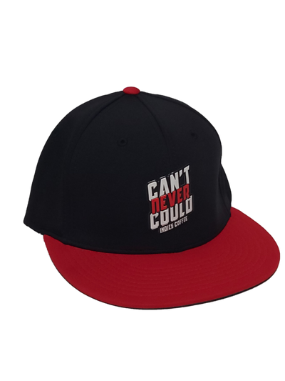 Can’t Never Could Fitted Hat